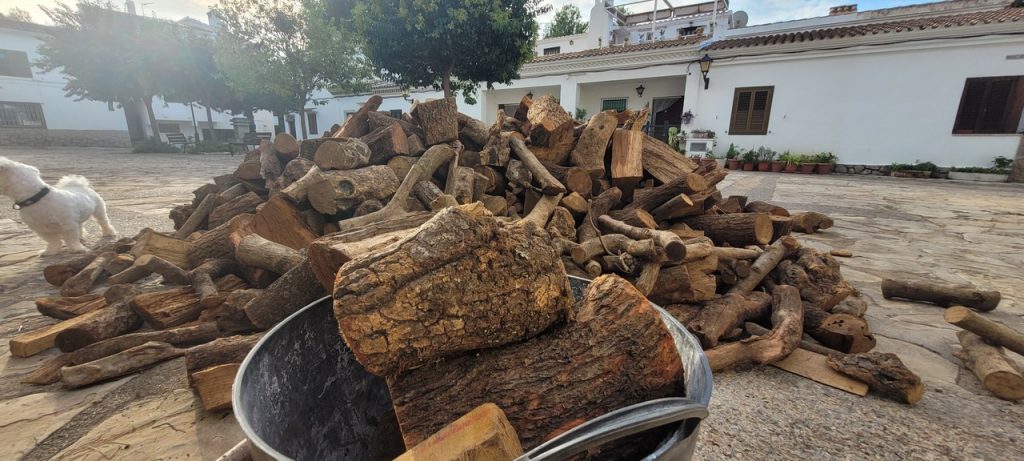 Saniolii deja își fac rezerve de lemne pentru iarna